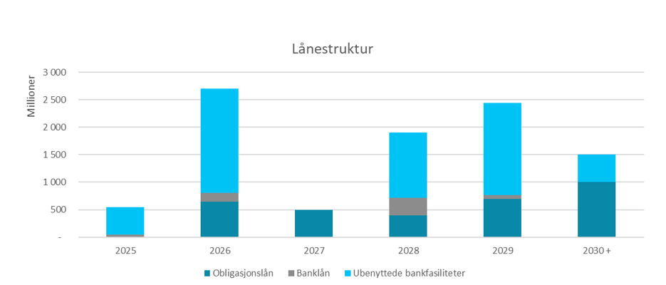 Lånestruktur 30.06.2025.png