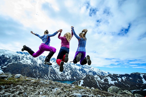 Den Norske Turistforening