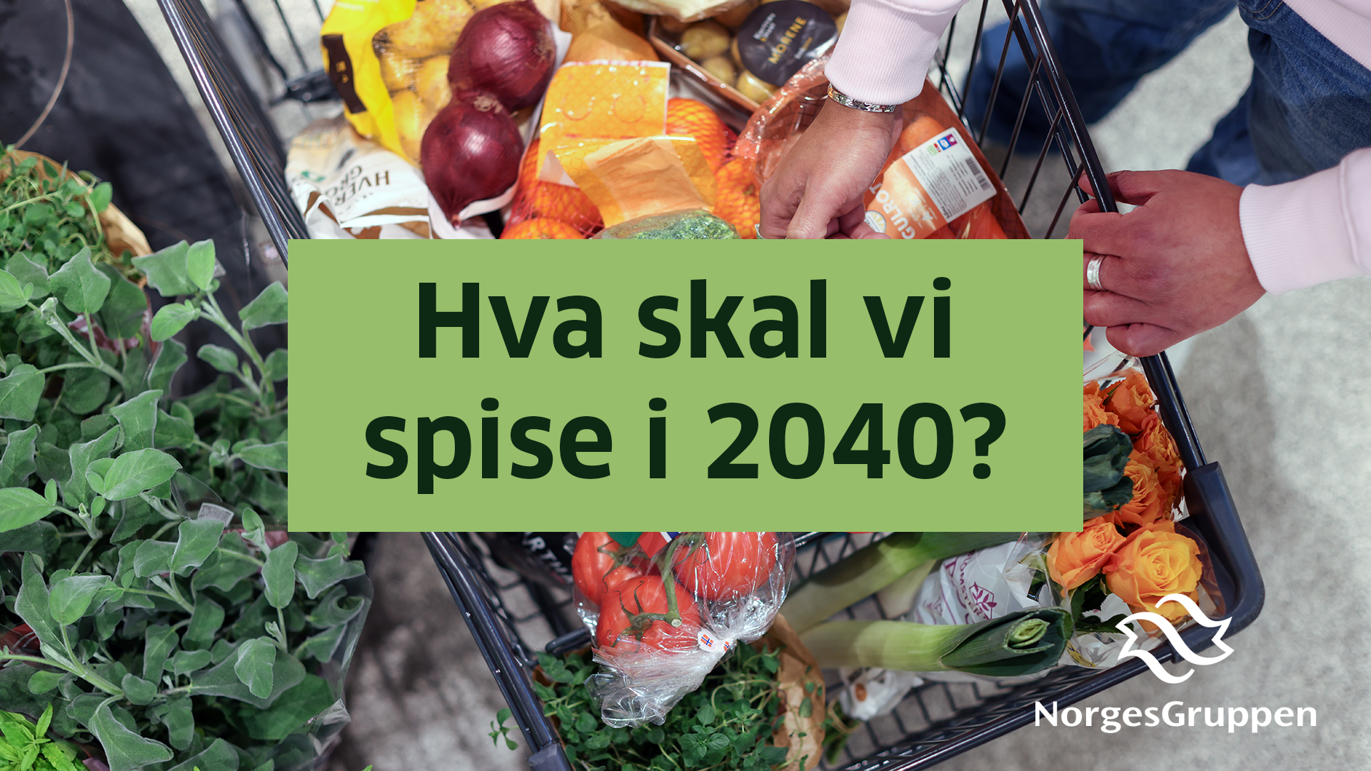 NorgesGruppen på Arendalsuka
